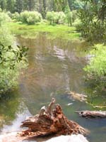 26-scenic_views_along_Mirror_Lake