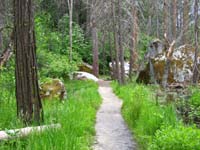 58-Mirror_Lake_trail