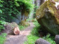 60-Mirror_Lake_trail