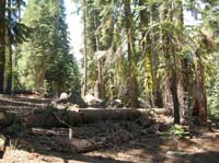 06-very_enjoyable_short_trail