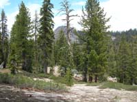 28-Sentinel_Dome_from_trail