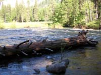 53-El_Portal_view-Merced_River