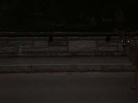 37-deer_trying_to_cross_the_bridge