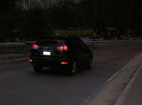 39-deer_trying_to_cross_the_bridge