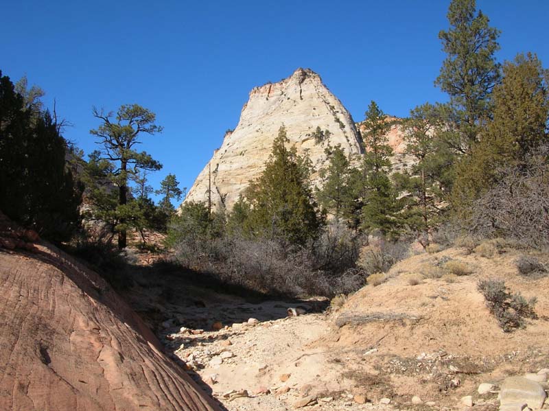 09-scenic_views_of_Checkerboard_Mesa_area