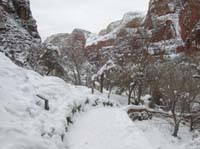 22-snowy_trail_and_views_before_trail_closed_sign