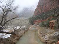 09-view_from_bridge_over_Virgin_River_at_The_Grotto-looking_down_canyon