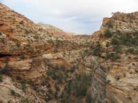 11-canyon_view_towards_road_for_Canyon_Overlook_Trailhead