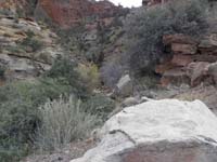 13-saw_bighorn_sheep_near_road-I_stood_still_and_waited_to_see_how_close_sheep_would_approach