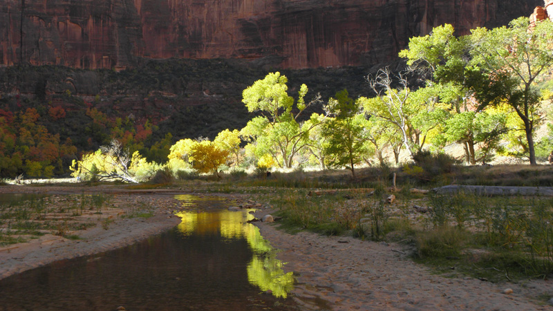 10-scenic_view_at_Big_Bend_along_river