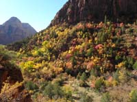 07-fall_colors_along_Kayenta_trail_past_Lower_Emerald_Pools