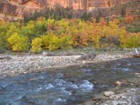 11-fall_colors_at_Big_Bend_along_Virgin_River