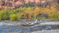 13-fall_colors_at_Big_Bend_along_Virgin_River