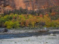 15-fall_colors_at_Big_Bend_along_Virgin_River