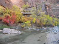 23-fall_colors_at_Temple_of_Sinawava_along_Virgin_River-looking_upstream