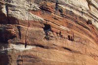 57-zoom_of_about_2-month_old_baby_California_Condor-cliff_nest_along_face_of_Bridge_Mt_about_.75_miles_away