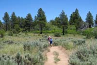 04-hiking_at_Wildcat_Trailhead_through_sagebrush-7000_ft_elev,84_degrees,much_better_than_106_in_Las_Vegas