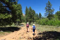 05-enjoying_the_beautiful_ponderosa_pine_trees