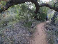 023-following_the_usage_trail-via_GoPro