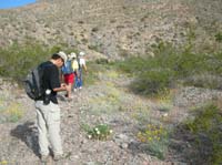 017-great_picture_opportunities_along_the_trail_of_all_the_wildflowers