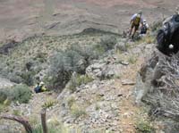 092-slippery_and_steep-several_of_us_fell-I_fell_on_a_cactus-lots_of_fine_hairs_in_my_left_hand