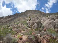 098-Joel_on_the_way_down-the_agave_needle_went_further_in_his_leg-couldn't_see_it_anymore_in_the_skin