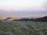 06-surprised_to_find_a_herd_of_cows_hanging_around_over_9,000_feet