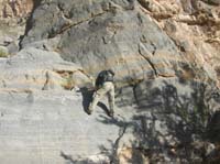 78-it_wasn't_bad-simply_get_good_foot_and_hand_holds