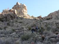 10-lots_of_cacti_to_avoid_on_the_way_to_that_spire