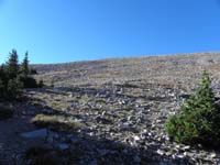 11-alpine_level_around_11k_feet-looking_at_picture_you_wonder_where's_the_trail