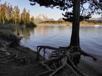 01-sunrise_view_along_Jackson_Lake_at_Signal_Mountain_Campground