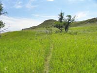 14-continue_on_worn_path-great_place_to_find_rattlesnakes,but_too_hot-although,not_bad_with_humidity