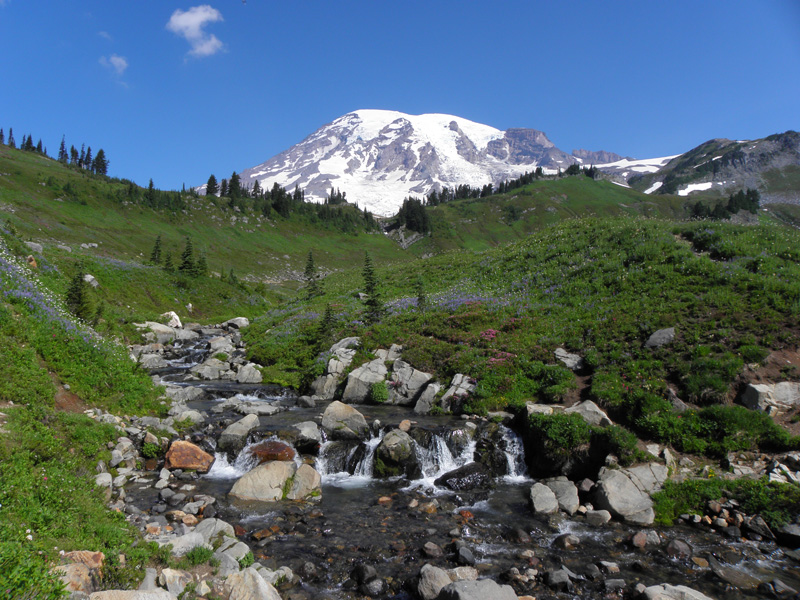 10-amazing_glacier_melt_spring_and_Mount_Rainier