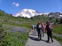 07-followed_a_mountain_climbing_group_until_snowfield