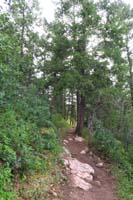 13-starting_the_Oak_Flat_Trail