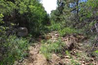 12-old_road_overgrown_with_vegetation,damaged_by_water_flow