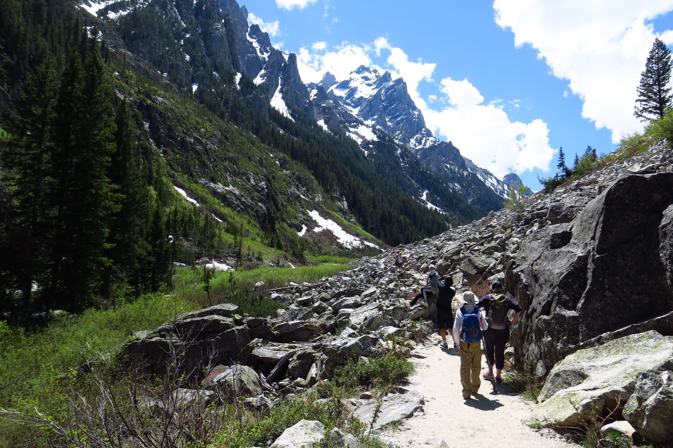 12-trail_through_old_big_rockslide_area