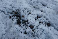 092-glacial_feature-ice_melt_reveals_rocks_exposed_to_sun,warms,melts_ice_sinking_into_glacier